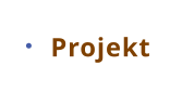 Projekt